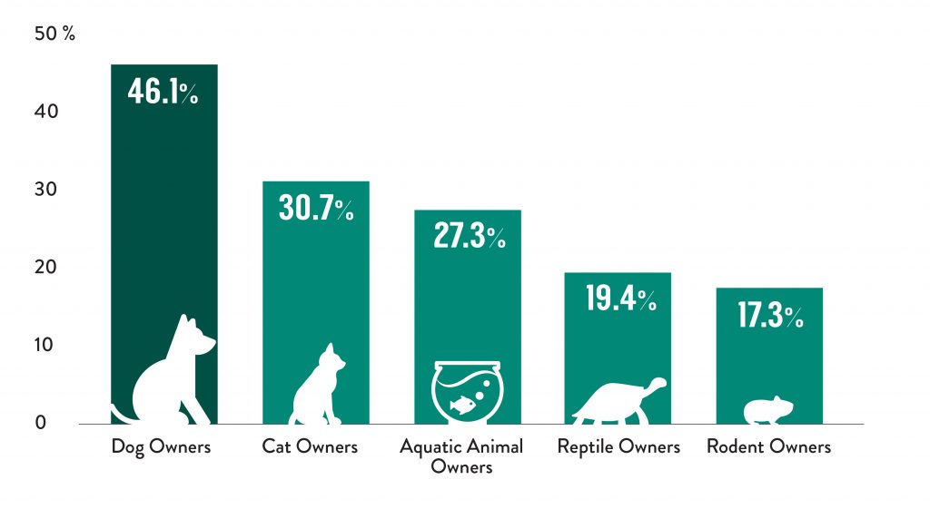 Understanding China's Pet Food Market: An Infographic - Addiction Pet ...