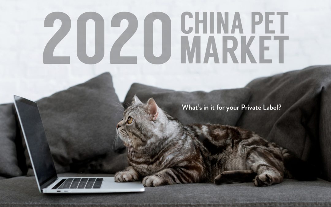 2020 China Pet Market: What’s In It for Your Private Label?